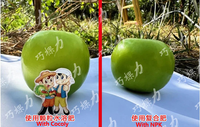 1742983363226618.jpg 正确5.jpg