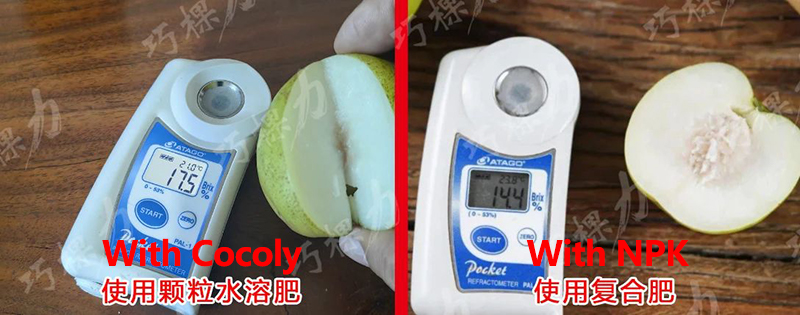1742983365247084.jpg 正确4.jpg