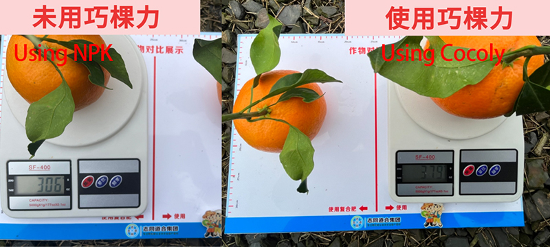 正确22d.jpg