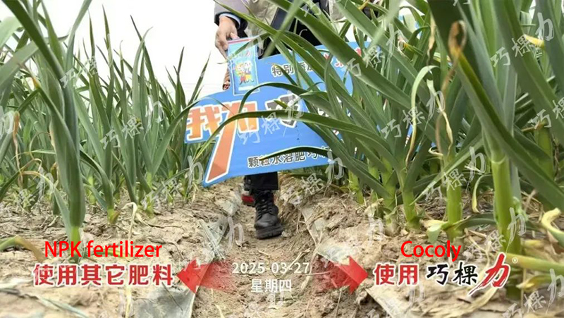 导出14.jpg